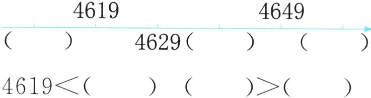 4619