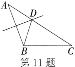 第11题
