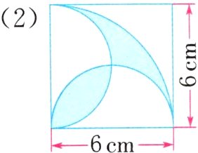 6cm