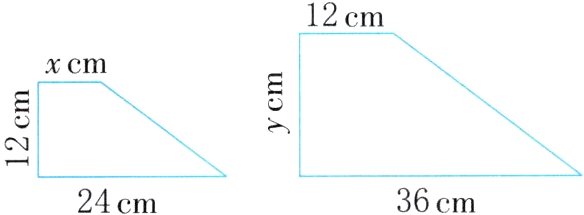 36cm24cm