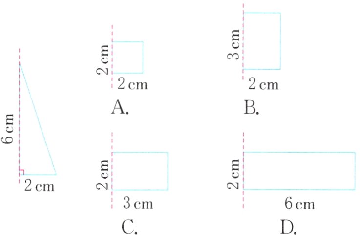 3cm6cmDC