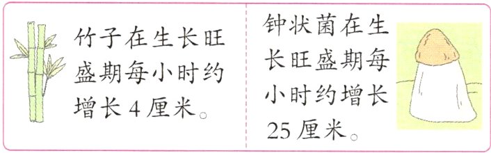 25厘米
