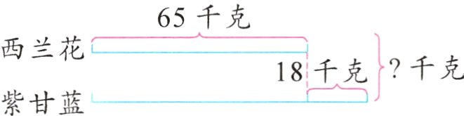 紫甘蓝