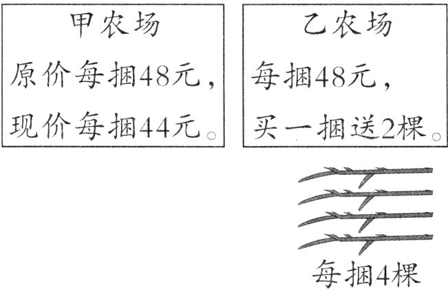 每捆4棵