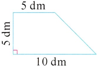 10dm