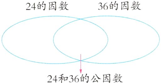 24和36的公因数