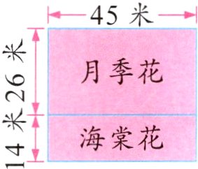 海棠花五海