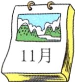 11月