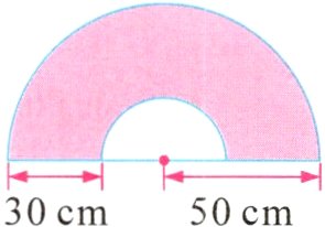 50cm30cm