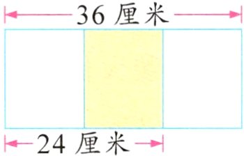 24厘米