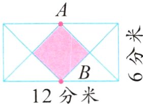 12分米