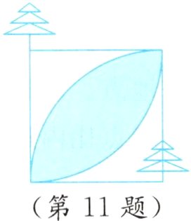 第11题