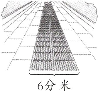 6分米