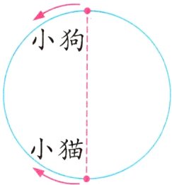 小猫