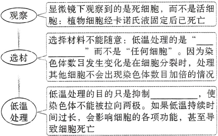 间过长会影响细胞的各项功能甚至导致细胞死亡