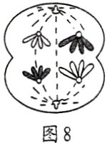 图8