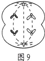 图9