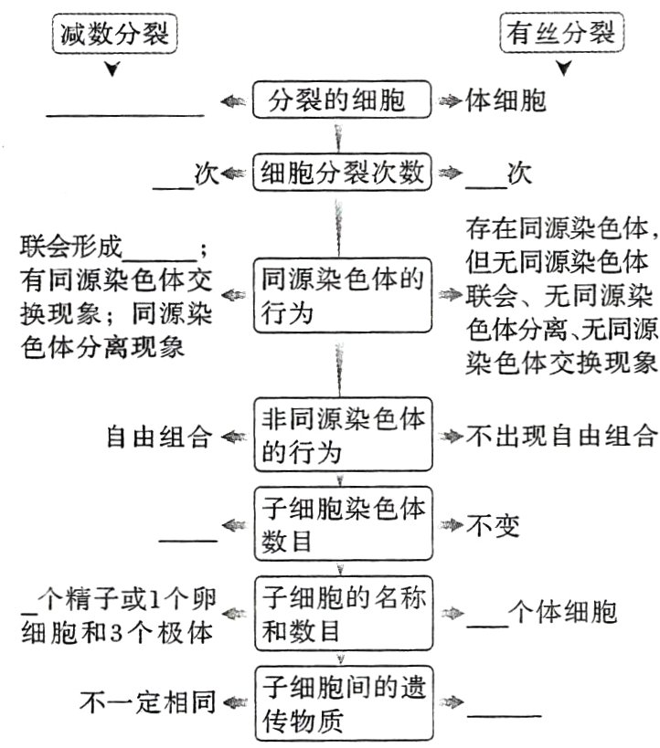不一定相同食细间的