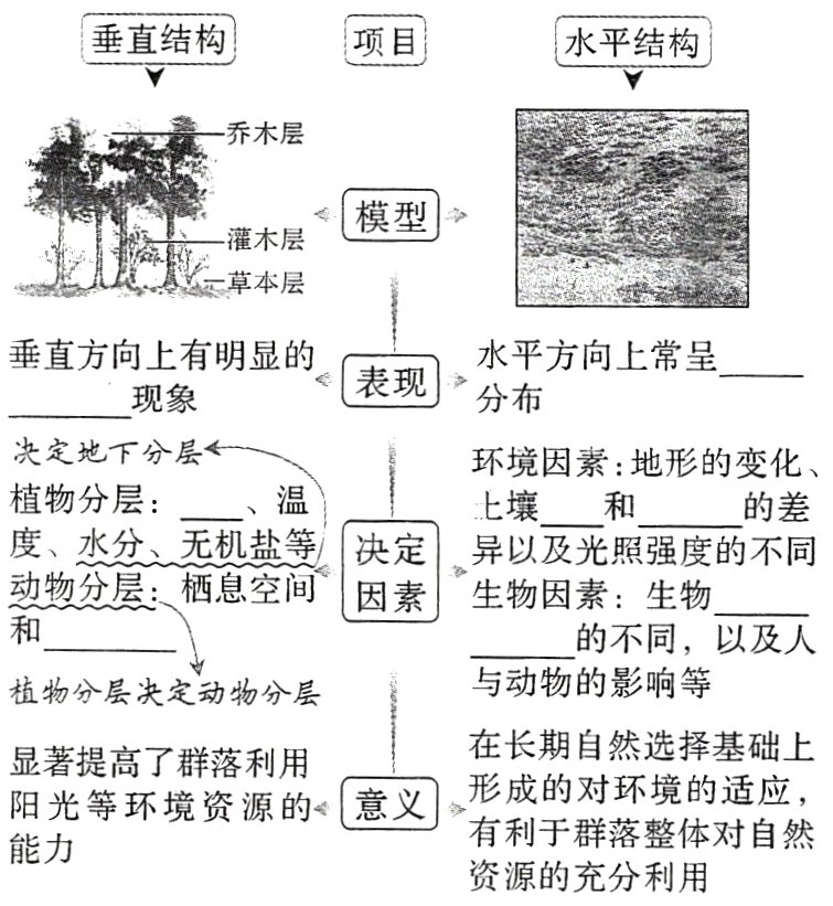 有利于群落整体对自然能力资源的充分利用