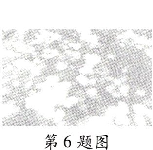 第6题图