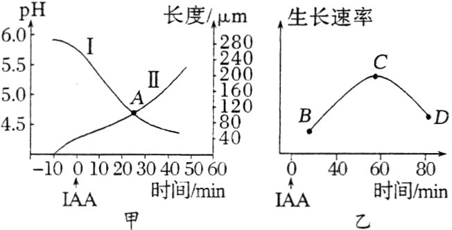 IAAIAA时间min时间min