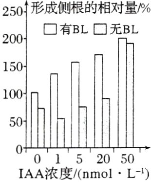 1mmolLBL的培养基0152050IAA浓度nmolL1