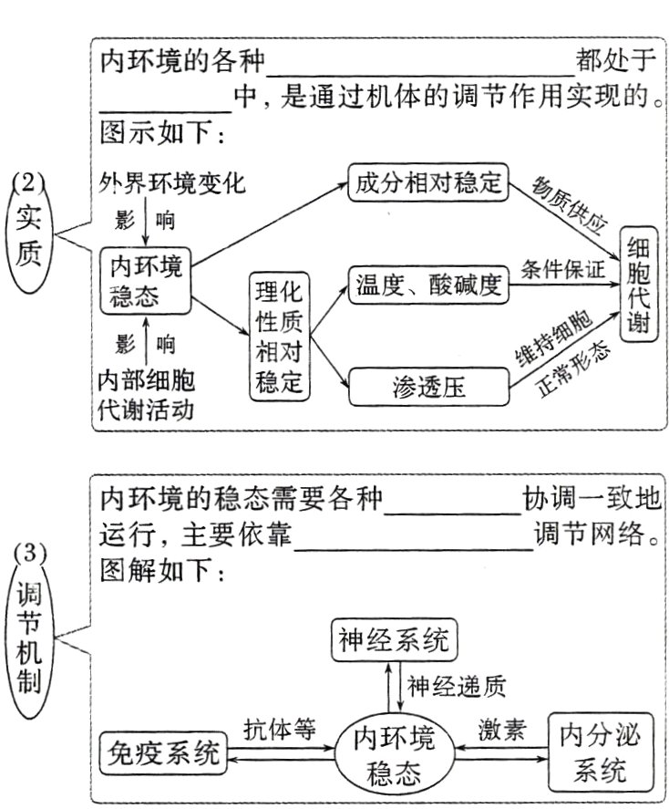 内环境免疫系统系统