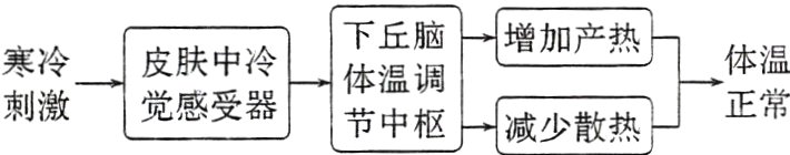 被少取热正常刺激觉感受器节中枢