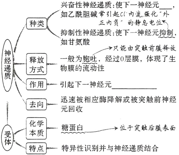 特点特异性识别并与神经递质结合