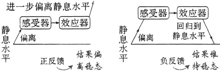 结果偏结果维正反馈离稳态负反馈持稳态