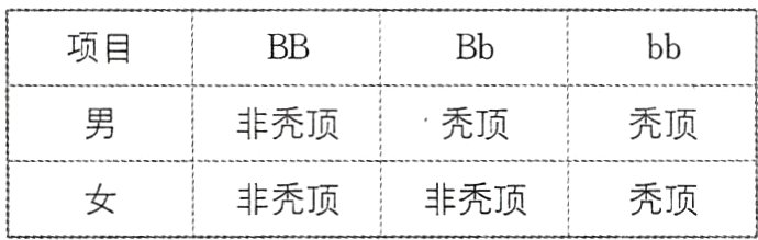非秃顶非秃顶秃顶