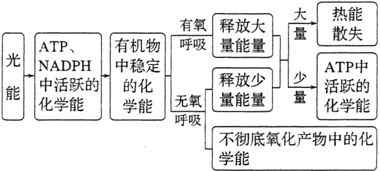 不彻底氧化产物中的化学能