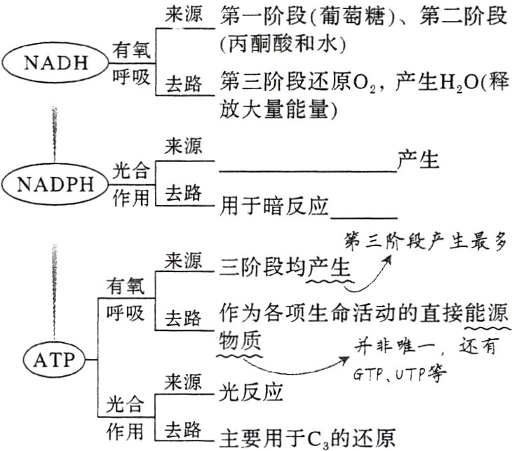 光合去路作用主要用于C的还原