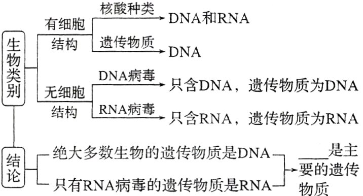 要的遗传只有RNA病毒的遗传物质是RNA物质