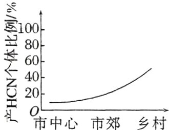 市中心市郊乡村