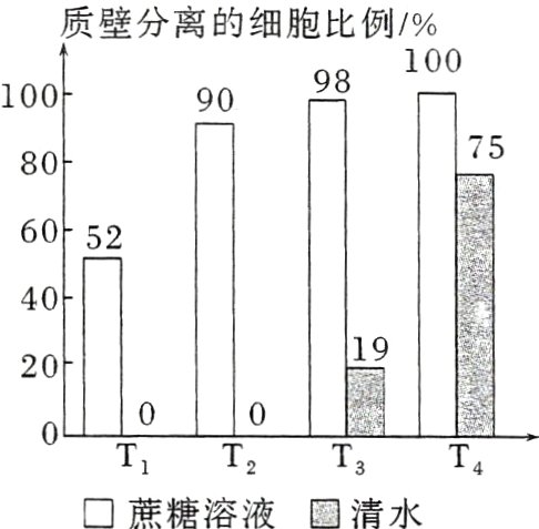 T4T3T2D蔗糖溶液清水