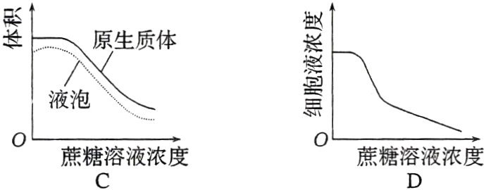 蔗糖溶液浓度蔗糖溶液浓度