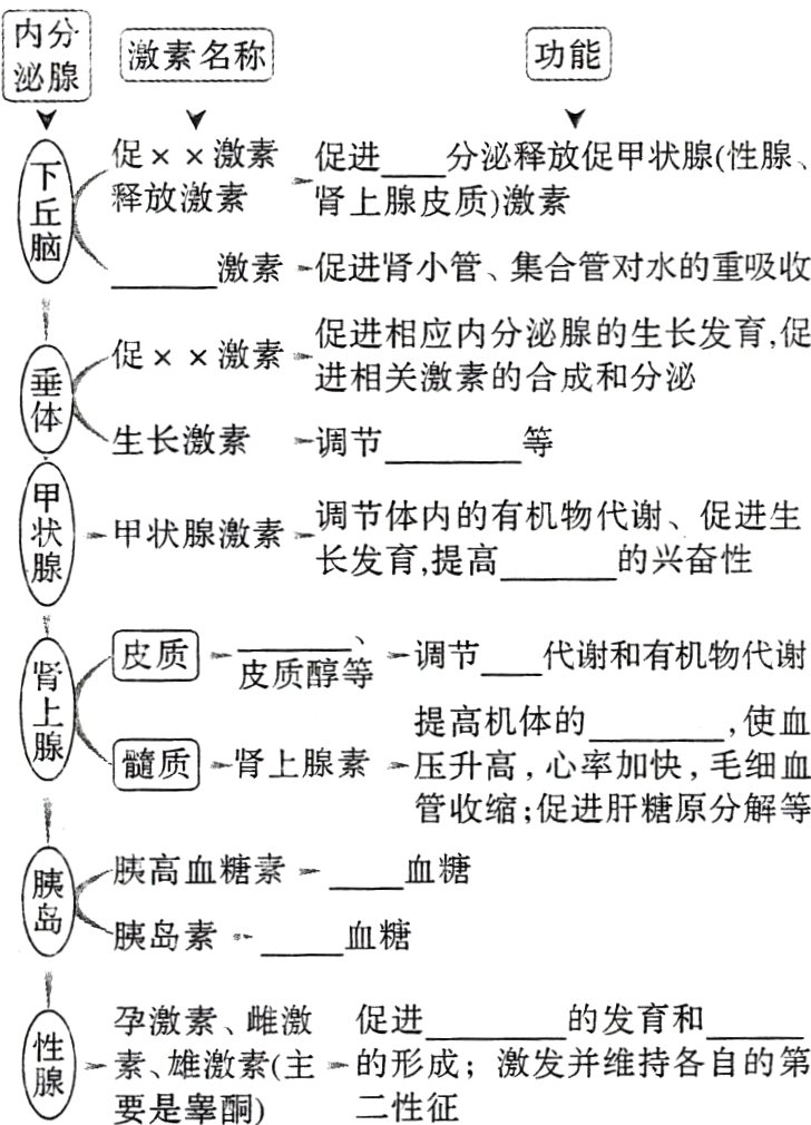 像是素激主一征成激发并维持各自的第