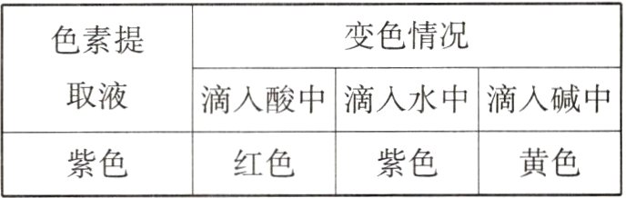 黄色紫色红色紫色