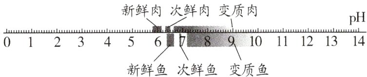 8二9新鲜鱼次鲜鱼变质鱼