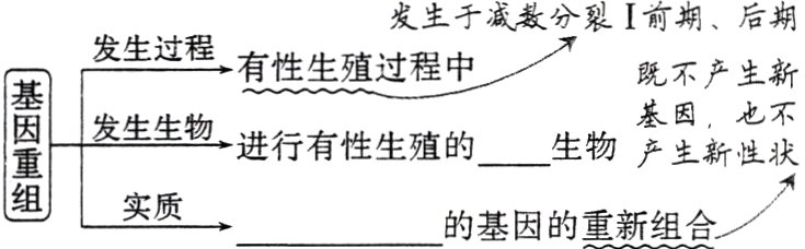 实质的基因的重新组合