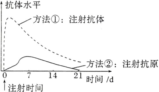 71421时间d注射时间