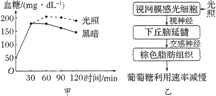 葡萄糖利用速率减慢