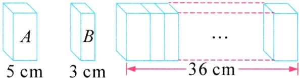 36cm5cm3cm
