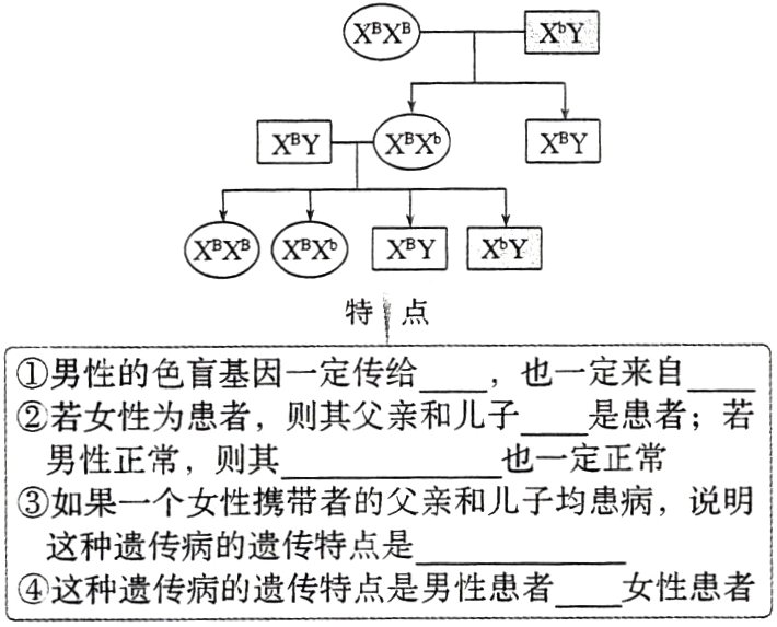 这种遗传病的遗传特点是男性患者女性患者