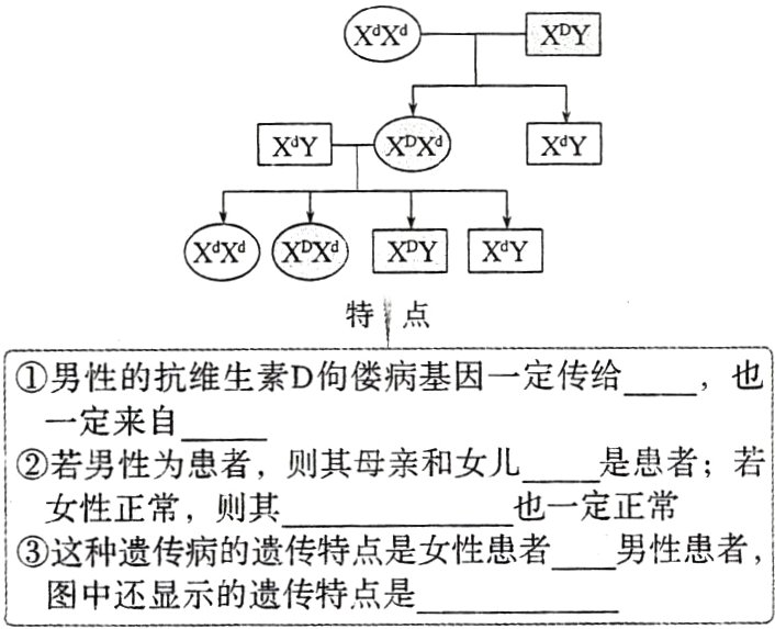 图中还显示的遗传特点是