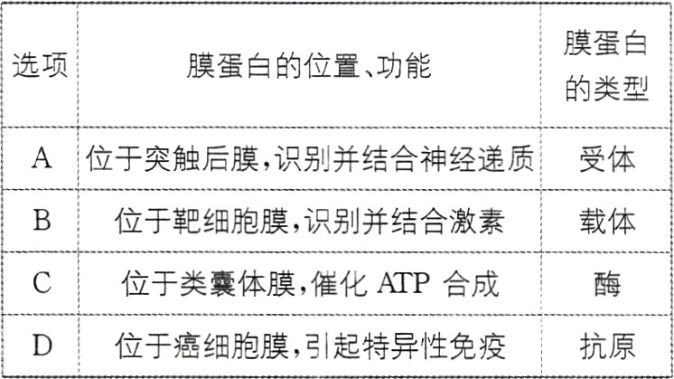 位于癌细胞膜引起特异性免疫抗原