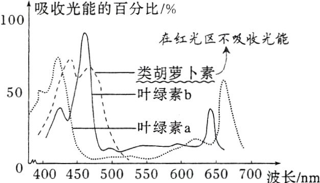 5005500400450600650700波长nm