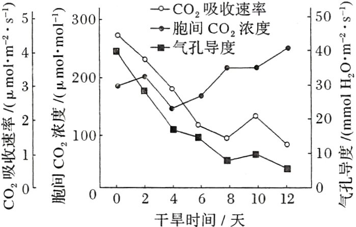 胞0024681012千旱时间天