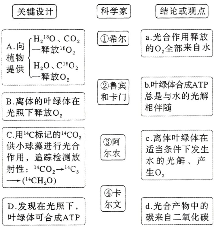 碳来自二氧化碳叶绿体可合成ATP